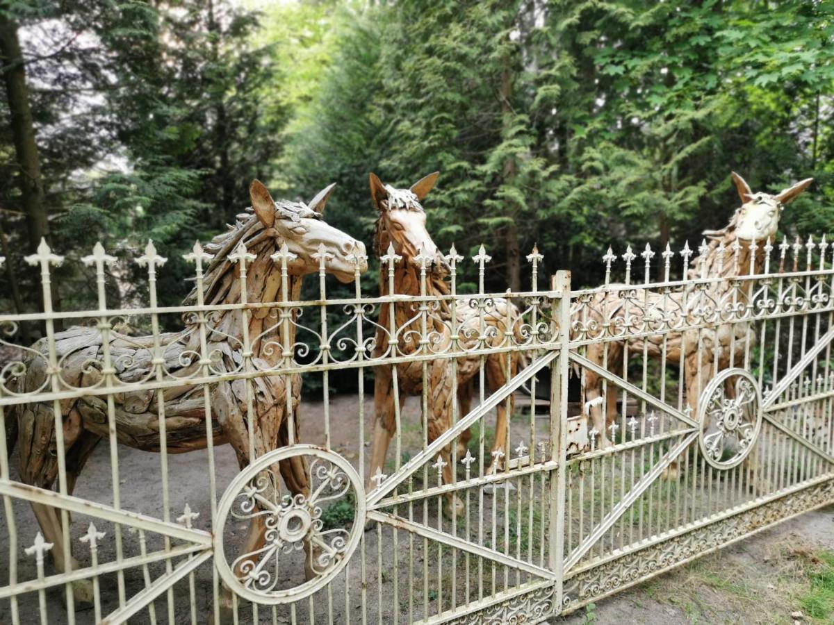 Ferienpark Leitzingen Золтау Екстериор снимка